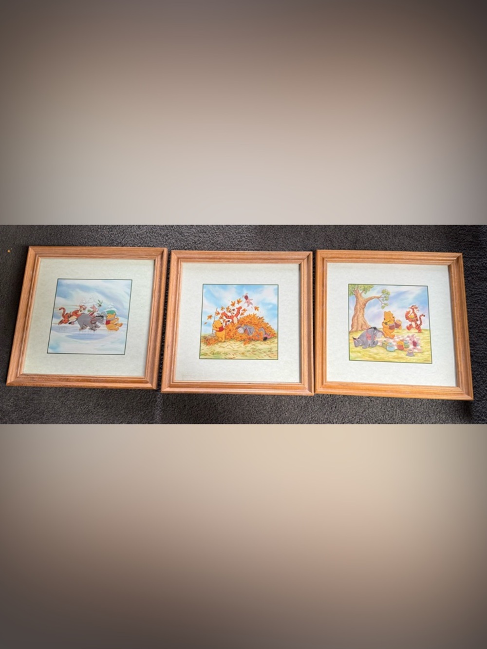 100 acre woods Disney series
